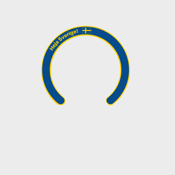 Abnehmbarer MagSafe-Ring | Blueberry
