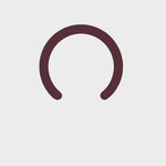 MagSafe-ring – Afneembare Hoefijzerring | Daylight