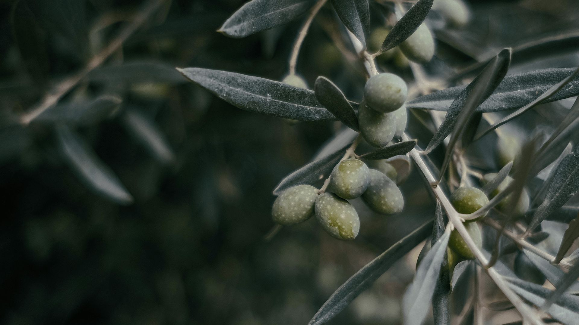 Like leather but not.