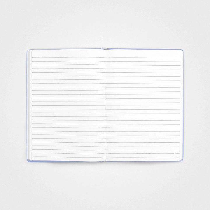 3 Pack Stone Paper Notebook Set︱A5 Hardcover, Vista blue