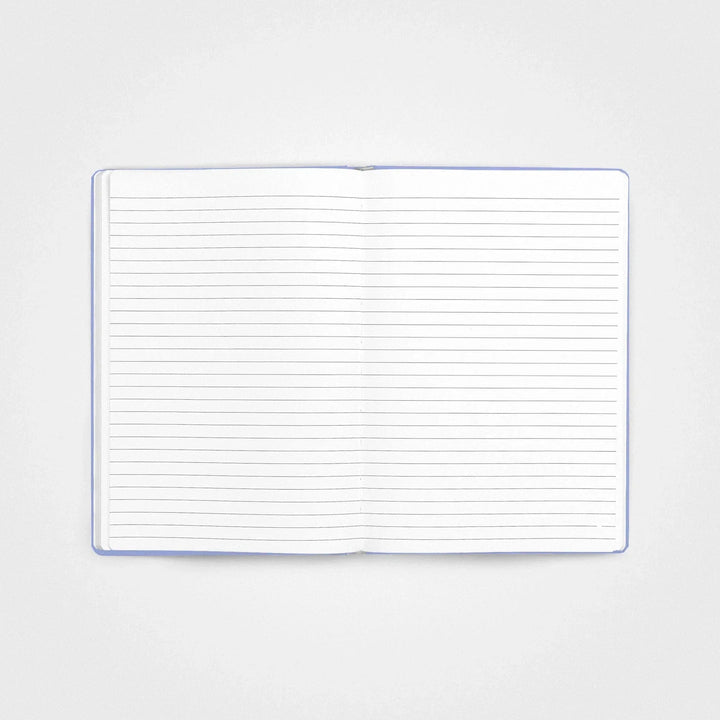 6 Pack Stone Paper Notebook Set︱A5 Hardcover, Vista blue