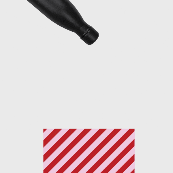 Bundel - Thermische fles & Steen papieren notitieboekjes, zwart