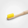 Bamboo Toothbrush, Adult, Yellow